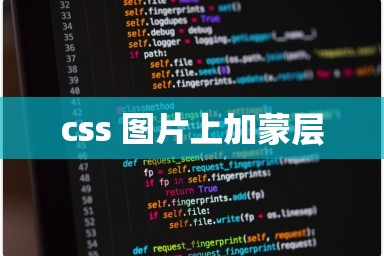 css 图片上加蒙层