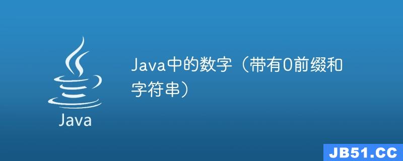 Java中的数字（带有0前缀和字符串）